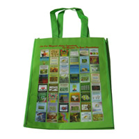 驻马店LB11覆膜无纺布广告袋